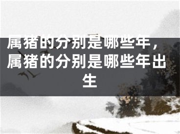 属猪的分别是哪些年，属猪的分别是哪些年出生