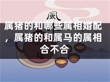 属猪的和哪些属相婚配，属猪的和属马的属相合不合