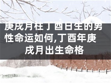 庚戌月柱丁酉日生的男性命运如何,丁酉年庚戌月出生命格