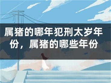 属猪的哪年犯刑太岁年份，属猪的哪些年份