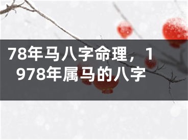 78年马八字命理,1978年属马的八字