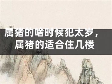 属猪的啥时候犯太岁，属猪的适合住几楼