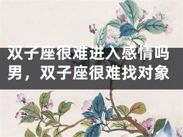 双子座很难进入感情吗男，双子座很难找对象