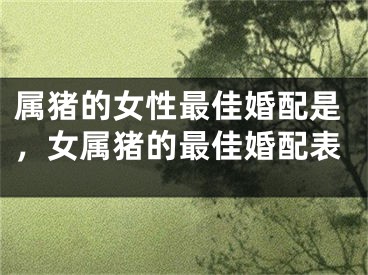 属猪的女性最佳婚配是，女属猪的最佳婚配表