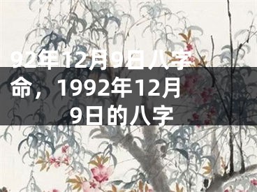92年12月9日八字命，1992年12月9日的八字