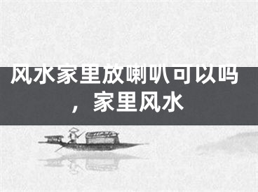 风水家里放喇叭可以吗，家里风水