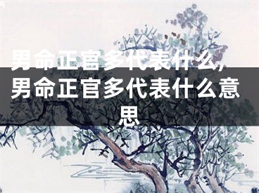 男命正官多代表什么,男命正官多代表什么意思
