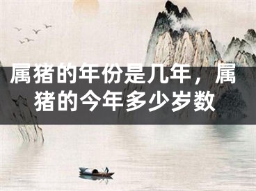 属猪的年份是几年，属猪的今年多少岁数