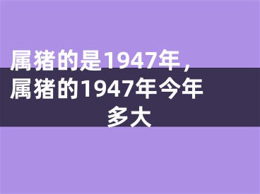 属猪的是1947年，属猪的1947年今年多大