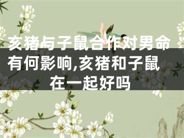 亥猪与子鼠合作对男命有何影响,亥猪和子鼠在一起好吗