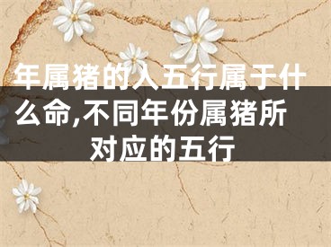 年属猪的人五行属于什么命,不同年份属猪所对应的五行