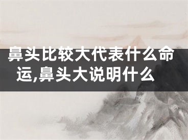 鼻头比较大代表什么命运,鼻头大说明什么