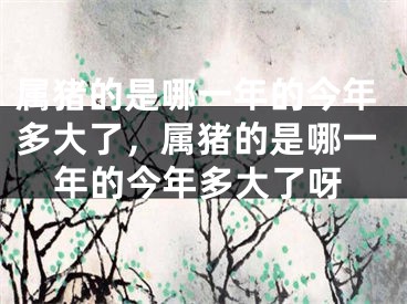 属猪的是哪一年的今年多大了，属猪的是哪一年的今年多大了呀
