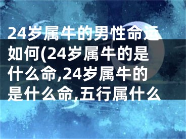 24岁属牛的男性命运如何(24岁属牛的是什么命,24岁属牛的是什么命,五行属什么