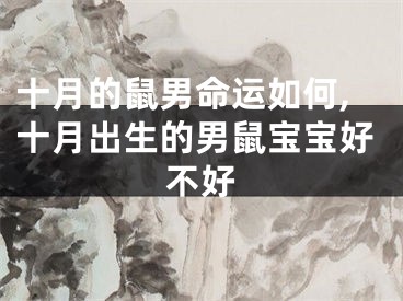 十月的鼠男命运如何,十月出生的男鼠宝宝好不好