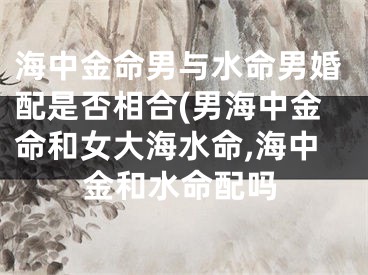 海中金命男与水命男婚配是否相合(男海中金命和女大海水命,海中金和水命配吗