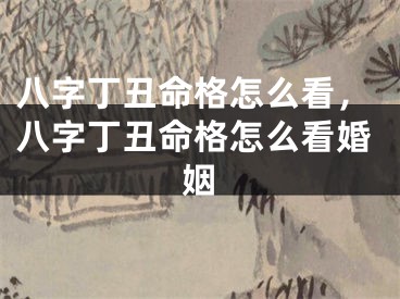 八字丁丑命格怎么看，八字丁丑命格怎么看婚姻