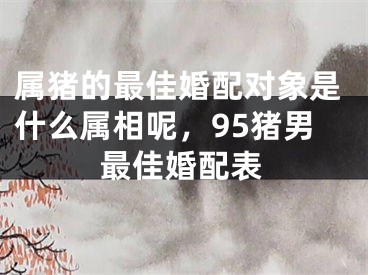 属猪的最佳婚配对象是什么属相呢，95猪男最佳婚配表