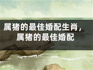 属猪的最佳婚配生肖，属猪的最佳婚配