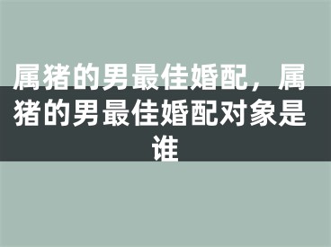 属猪的男最佳婚配，属猪的男最佳婚配对象是谁
