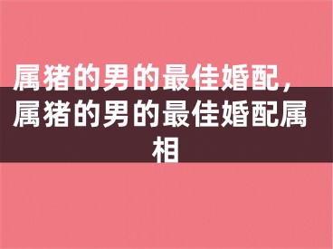 属猪的男的最佳婚配，属猪的男的最佳婚配属相