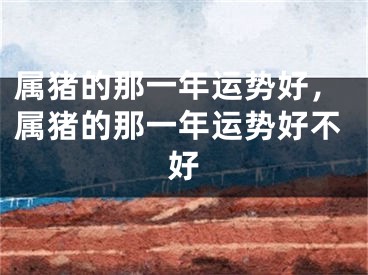 属猪的那一年运势好，属猪的那一年运势好不好
