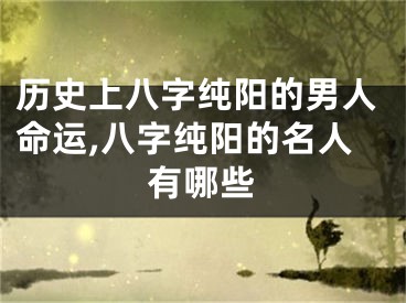历史上八字纯阳的男人命运,八字纯阳的名人有哪些