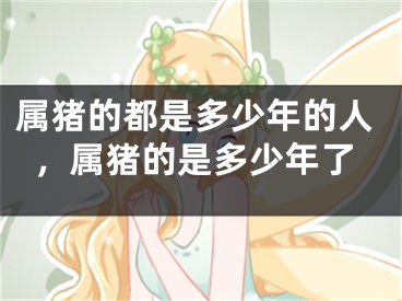 属猪的都是多少年的人，属猪的是多少年了