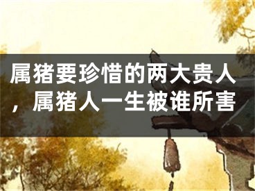 属猪要珍惜的两大贵人，属猪人一生被谁所害