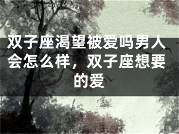 双子座渴望被爱吗男人会怎么样，双子座想要的爱
