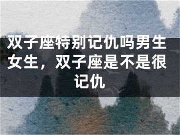 双子座特别记仇吗男生女生,双子座是不是很记仇