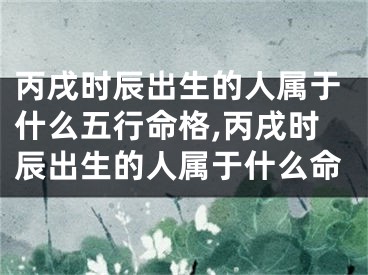 丙戌时辰出生的人属于什么五行命格,丙戌时辰出生的人属于什么命