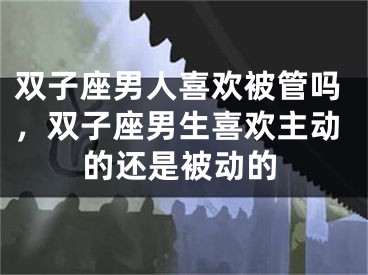 双子座男人喜欢被管吗，双子座男生喜欢主动的还是被动的