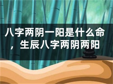 八字两阴一阳是什么命，生辰八字两阴两阳