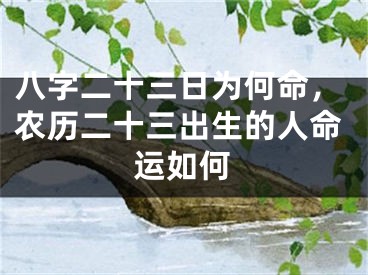 八字二十三日为何命，农历二十三出生的人命运如何