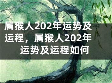 属猴人202年运势及运程,属猴人202年运势及运程如何
