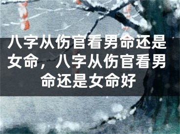 八字从伤官看男命还是女命，八字从伤官看男命还是女命好