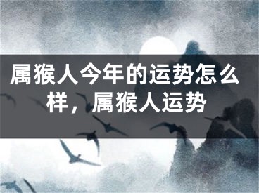 属猴人今年的运势怎么样，属猴人运势