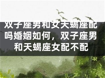 双子座男和女天蝎座配吗婚姻如何，双子座男和天蝎座女配不配