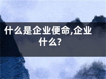 什么是企业便命,企业什么?