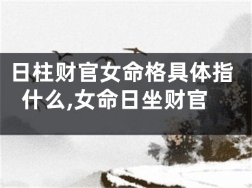 日柱财官女命格具体指什么,女命日坐财官