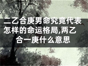 二乙合庚男命究竟代表怎样的命运格局,两乙合一庚什么意思
