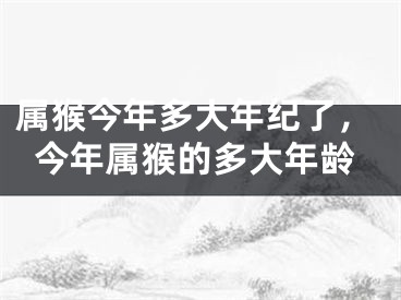 属猴今年多大年纪了，今年属猴的多大年龄