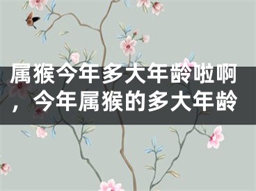 属猴今年多大年龄啦啊，今年属猴的多大年龄
