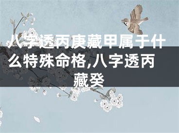八字透丙庚藏甲属于什么特殊命格,八字透丙藏癸