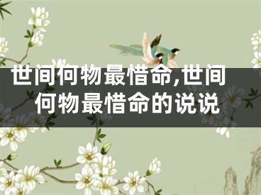 世间何物最惜命,世间何物最惜命的说说