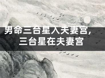 男命三台星入夫妻宫,三台星在夫妻宫