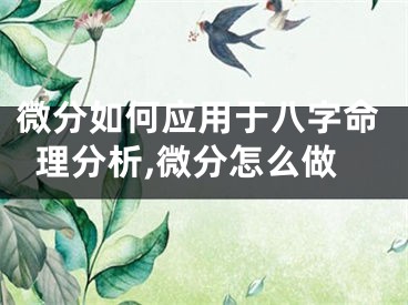 微分如何应用于八字命理分析,微分怎么做