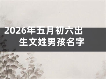 2026年五月初六出生文姓男孩名字