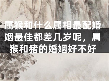 属猴和什么属相最配婚姻最佳都差几岁呢，属猴和猪的婚姻好不好
